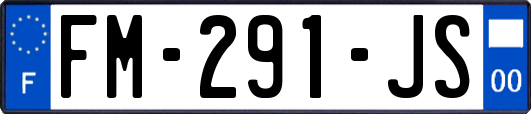 FM-291-JS