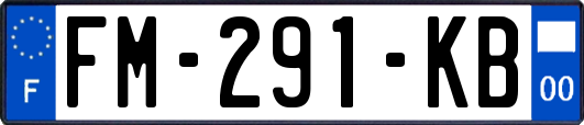 FM-291-KB