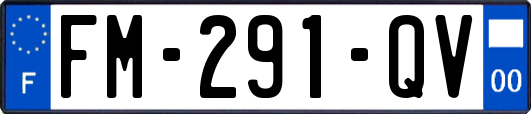 FM-291-QV