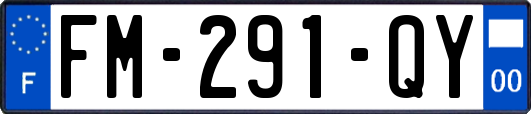 FM-291-QY