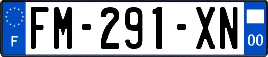 FM-291-XN