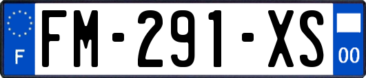 FM-291-XS