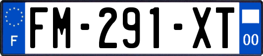 FM-291-XT