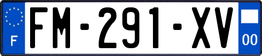 FM-291-XV