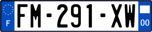 FM-291-XW