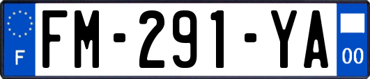 FM-291-YA