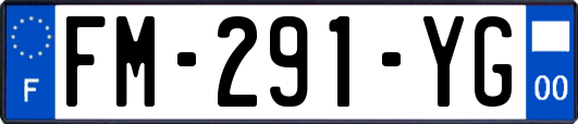 FM-291-YG