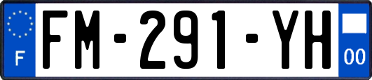 FM-291-YH