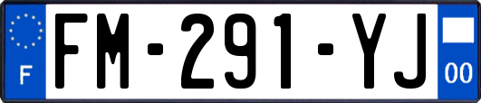 FM-291-YJ