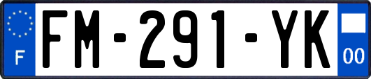 FM-291-YK