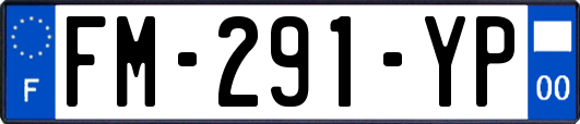 FM-291-YP