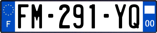 FM-291-YQ