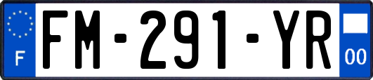 FM-291-YR