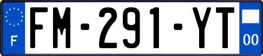 FM-291-YT