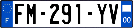 FM-291-YV