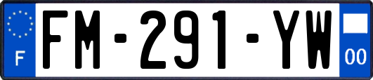FM-291-YW