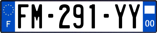 FM-291-YY