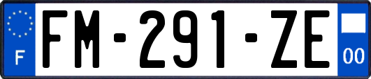 FM-291-ZE