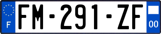 FM-291-ZF