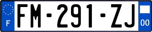FM-291-ZJ
