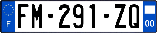FM-291-ZQ