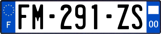 FM-291-ZS