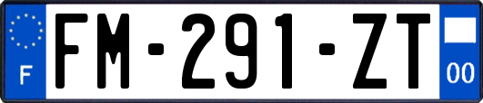 FM-291-ZT