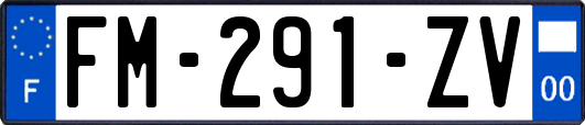FM-291-ZV