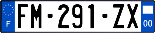 FM-291-ZX