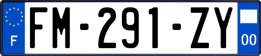 FM-291-ZY
