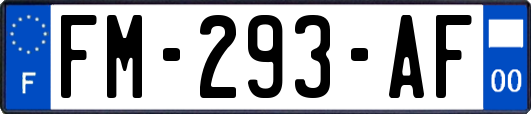 FM-293-AF