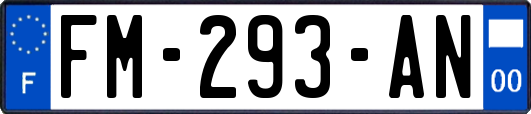 FM-293-AN