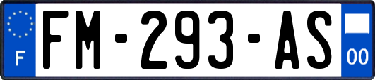 FM-293-AS