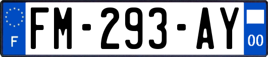 FM-293-AY