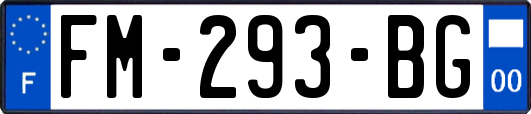 FM-293-BG