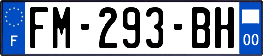FM-293-BH
