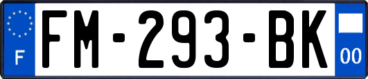 FM-293-BK