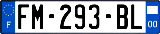 FM-293-BL