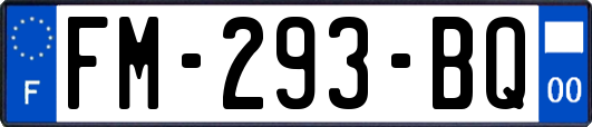 FM-293-BQ