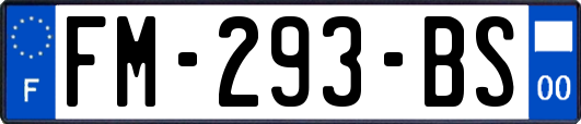 FM-293-BS