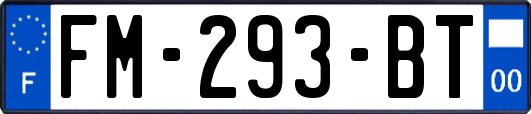 FM-293-BT