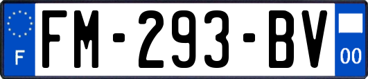 FM-293-BV