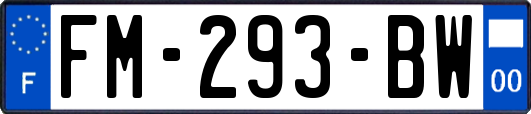 FM-293-BW