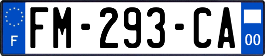 FM-293-CA