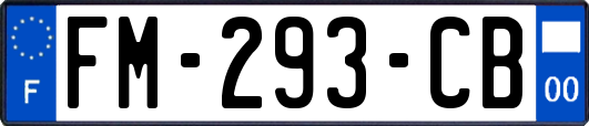 FM-293-CB