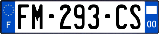 FM-293-CS
