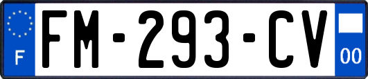 FM-293-CV