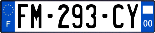 FM-293-CY
