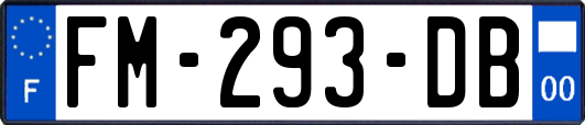 FM-293-DB