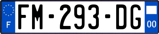 FM-293-DG